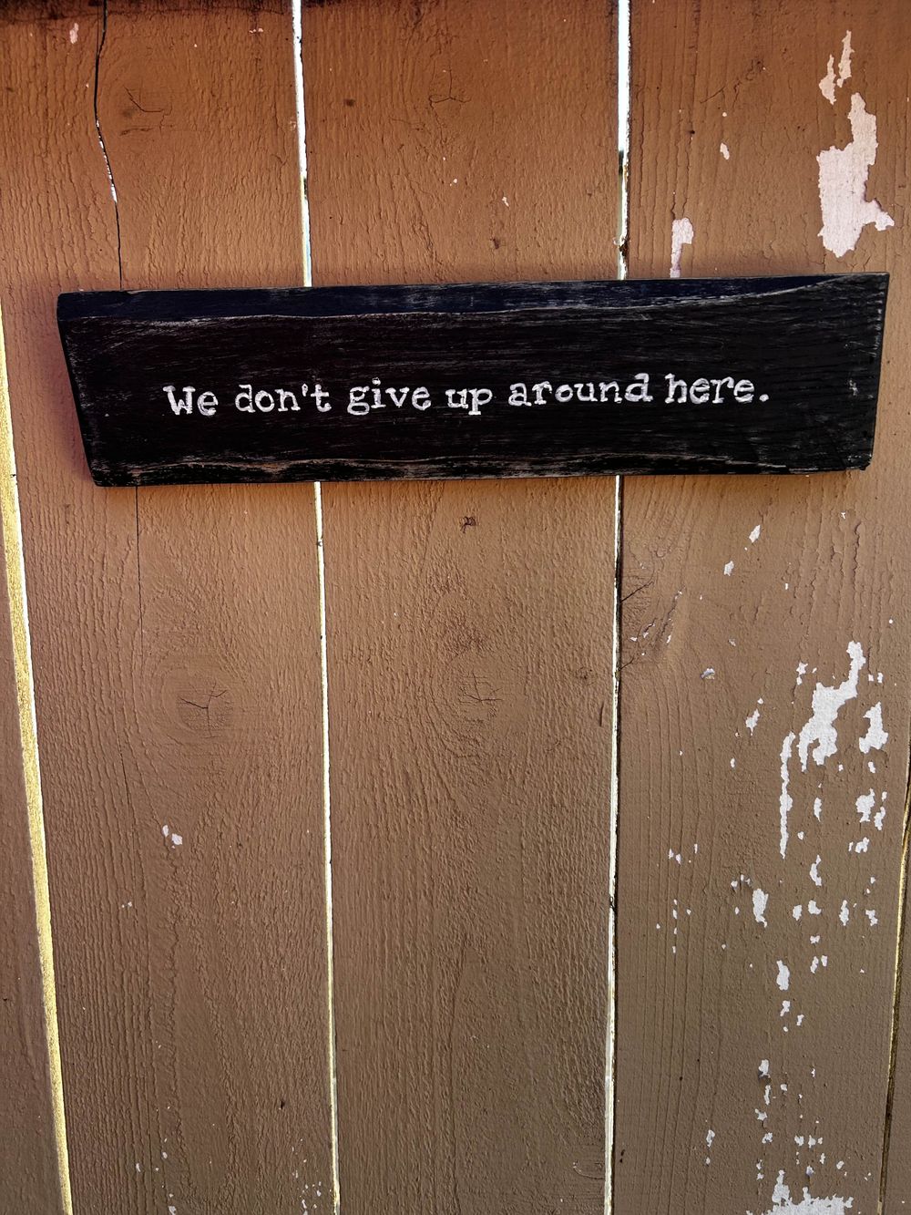 We Don't Give Up Around Here 